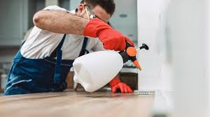 Best Pest Control for Multi-Family Homes  in St Bonaventure, NY